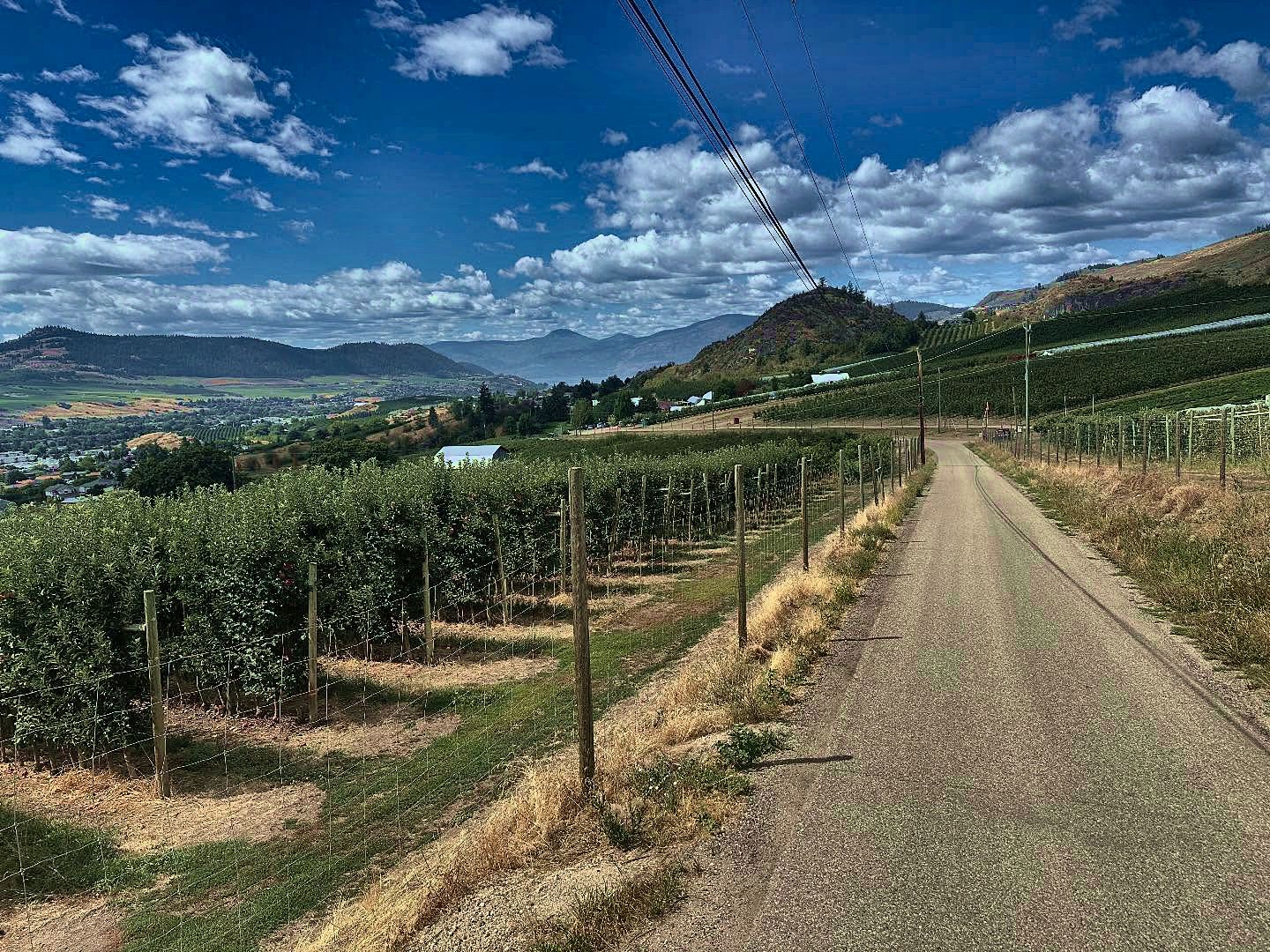 An orchard road above the Okanagan Valley